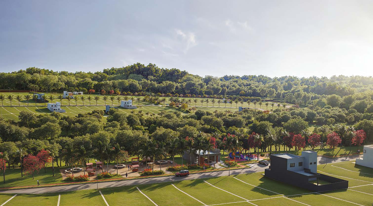 Natureza e preservação